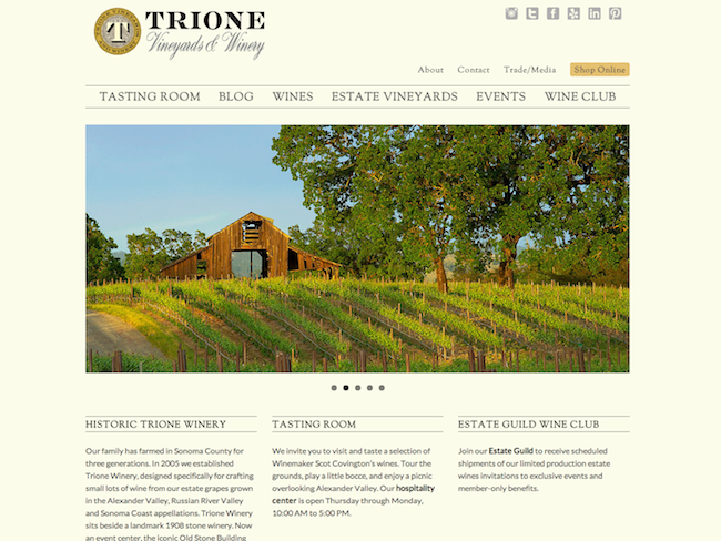 Screenshot of Trione Winery WordPress website